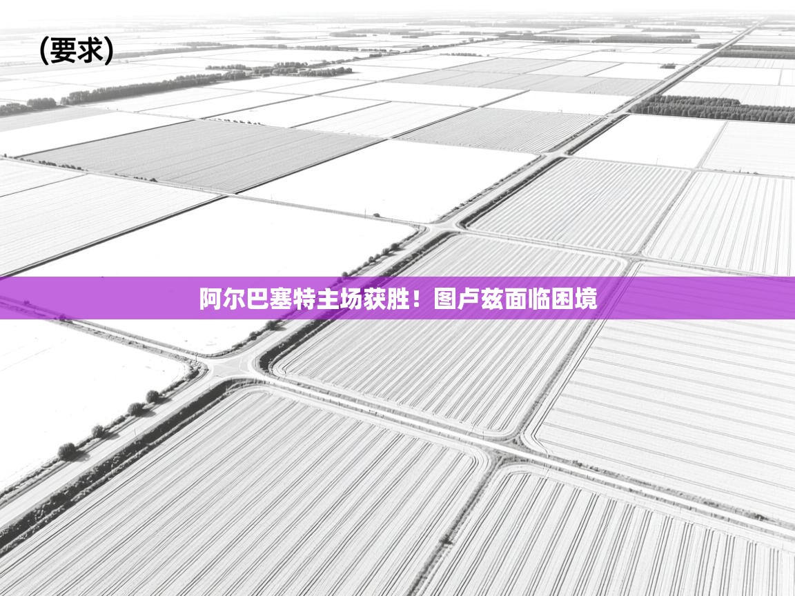 阿尔巴塞特主场获胜！图卢兹面临困境  第1张