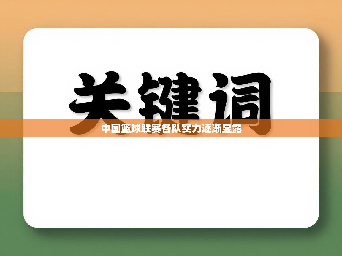 中国篮球联赛各队实力逐渐显露 第2张