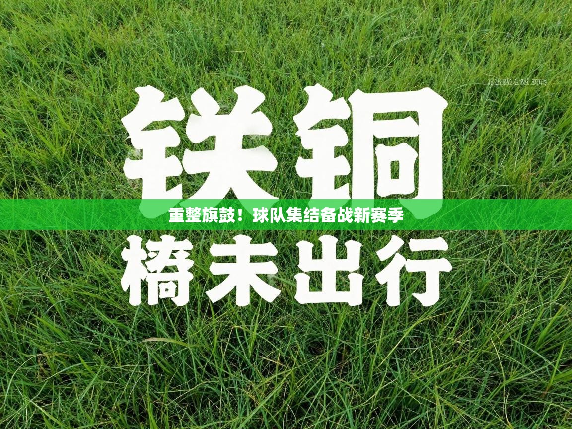 重整旗鼓！球队集结备战新赛季  第2张