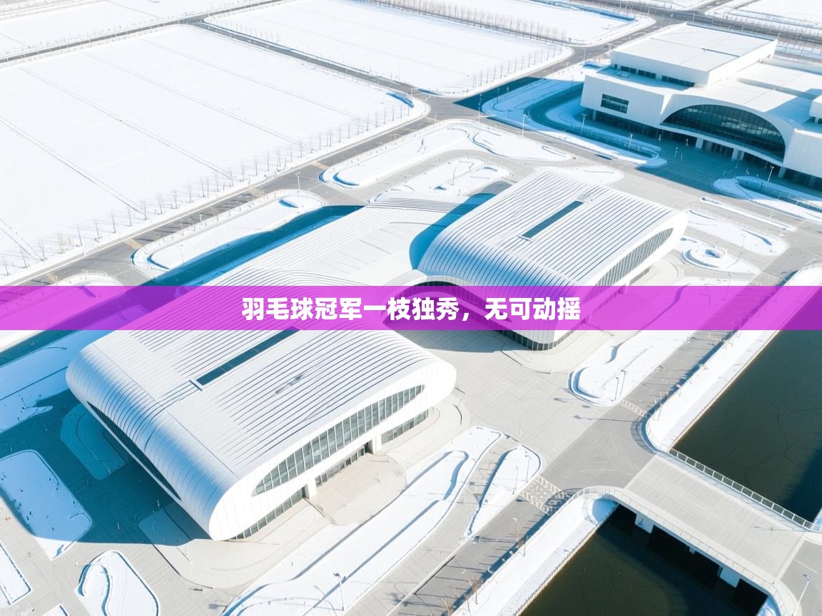 羽毛球冠军一枝独秀,无可动摇 第2张