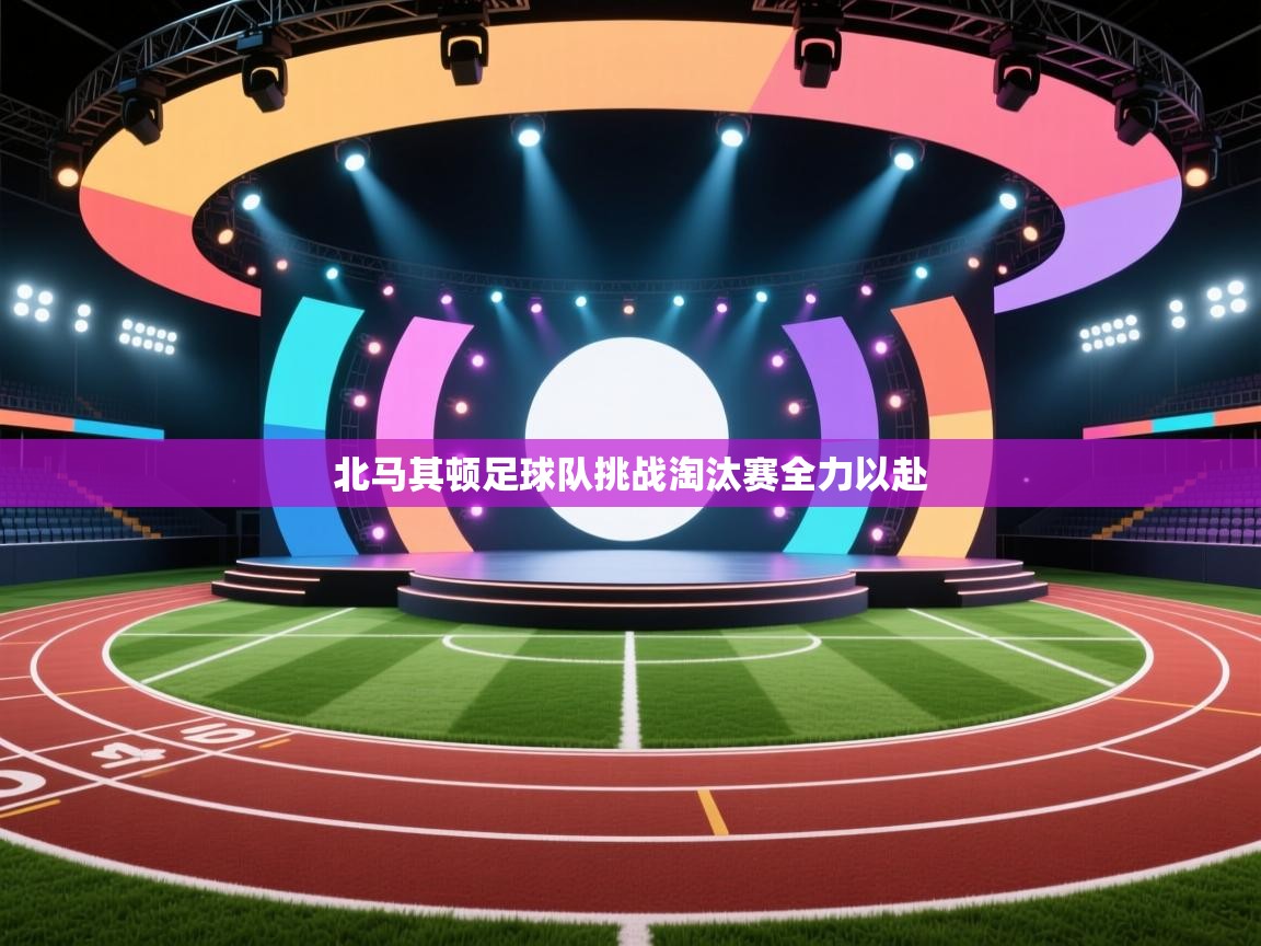 北马其顿足球队挑战淘汰赛全力以赴  第1张